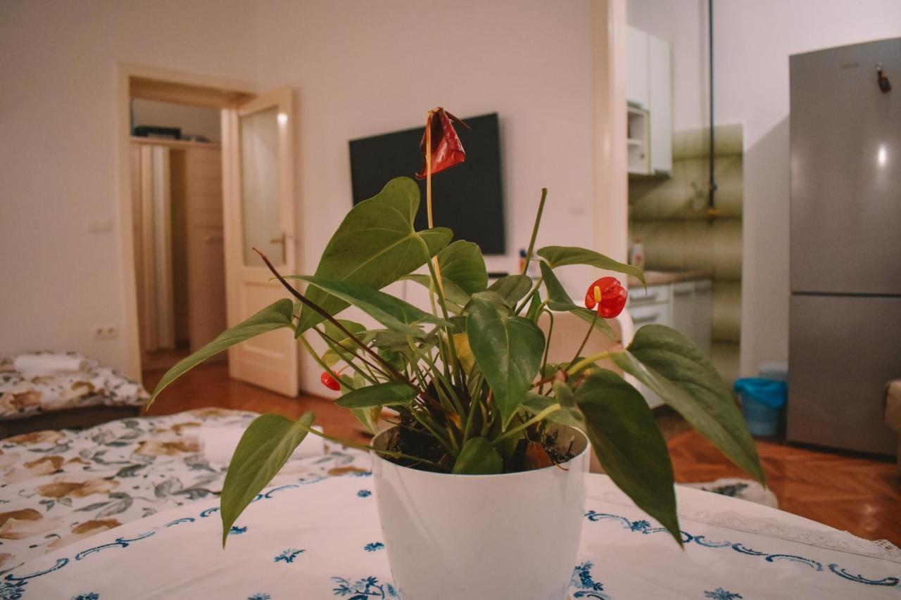 Nina Apartment 塞拉耶佛 外观 照片